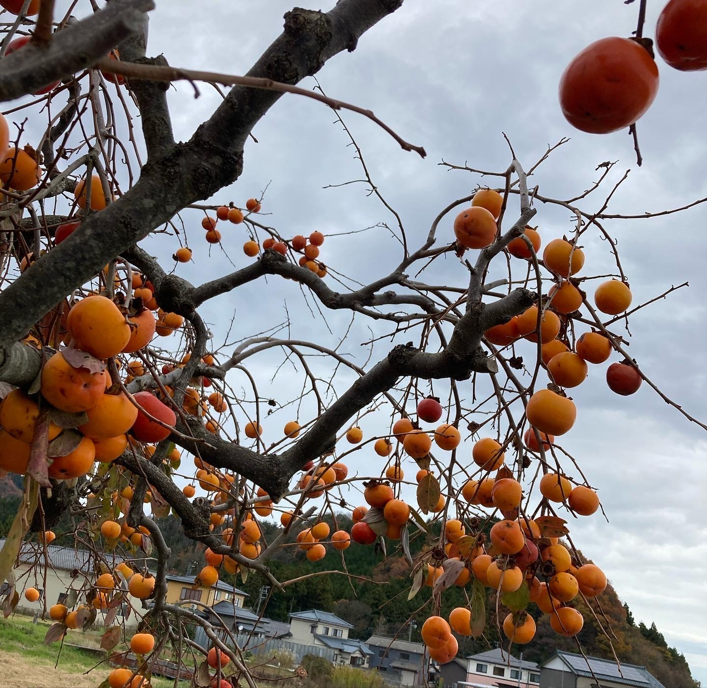 新潟市不動産　原点にかえるの画像