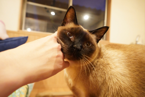 コミュニケーションと言うコスト。の画像