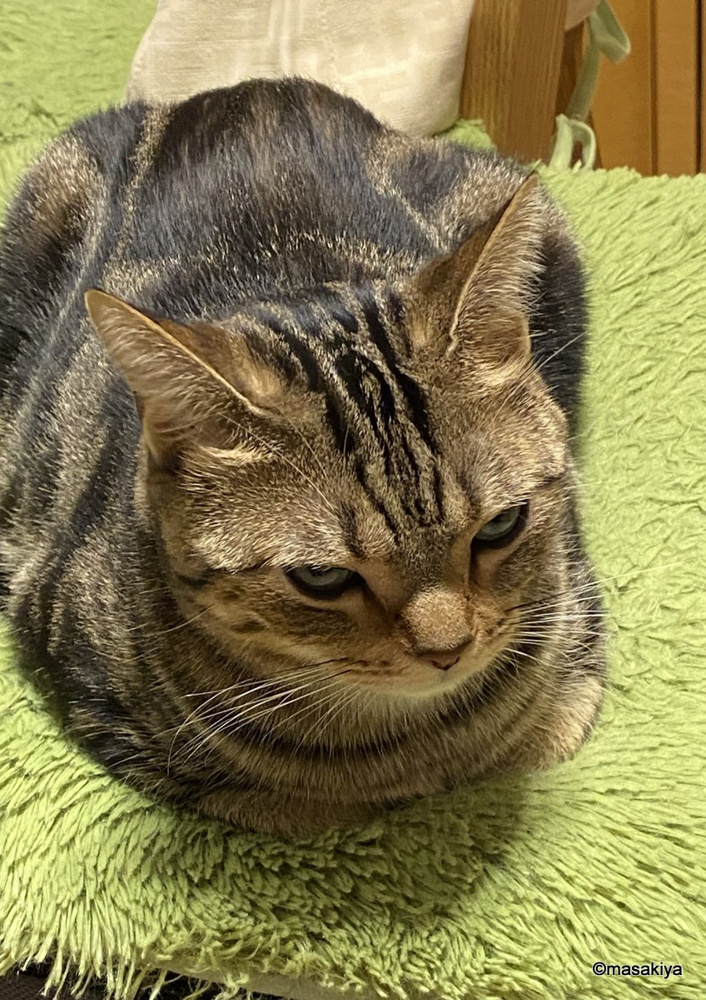 事件のニオイの画像