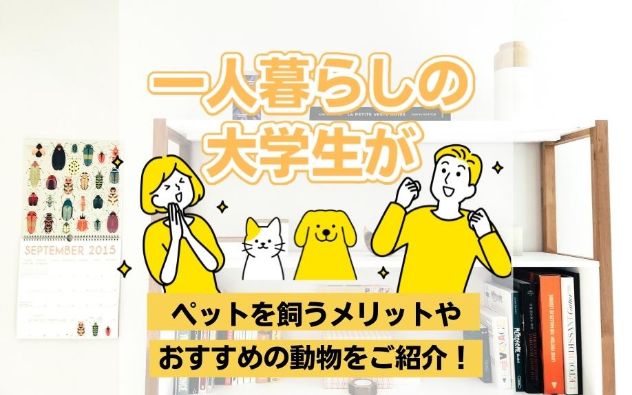 一人暮らしの大学生がペットを飼うメリットやおすすめの動物をご紹介！の画像
