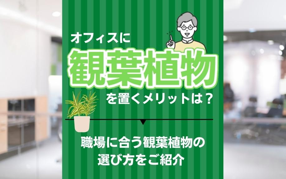 オフィスに観葉植物を置くメリットは？職場に合う観葉植物の選び方をご紹介の画像