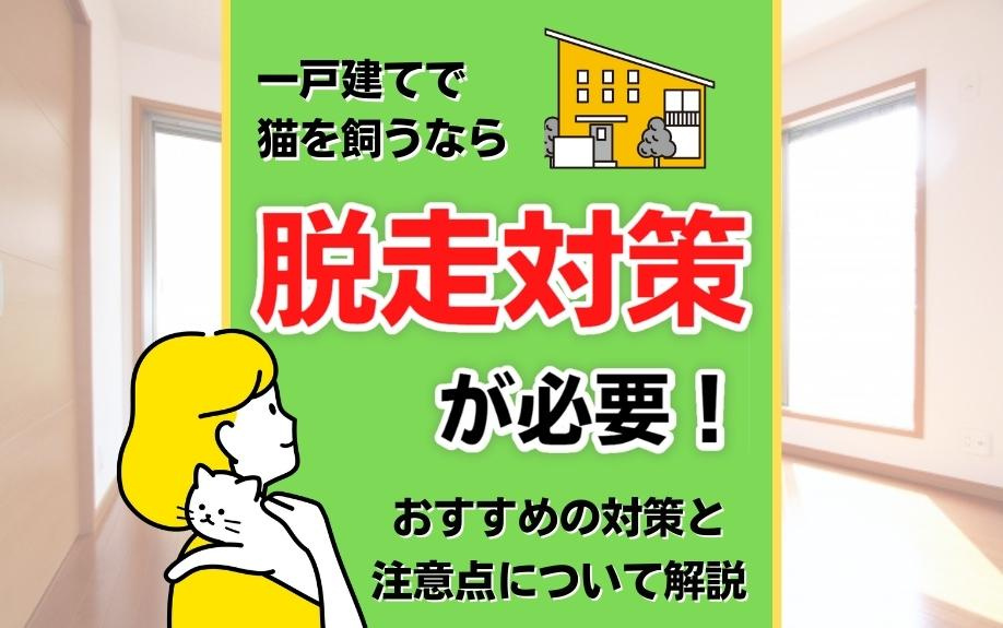 一戸建てで猫を飼うなら脱走対策が必要！おすすめの対策と注意点について解説の画像
