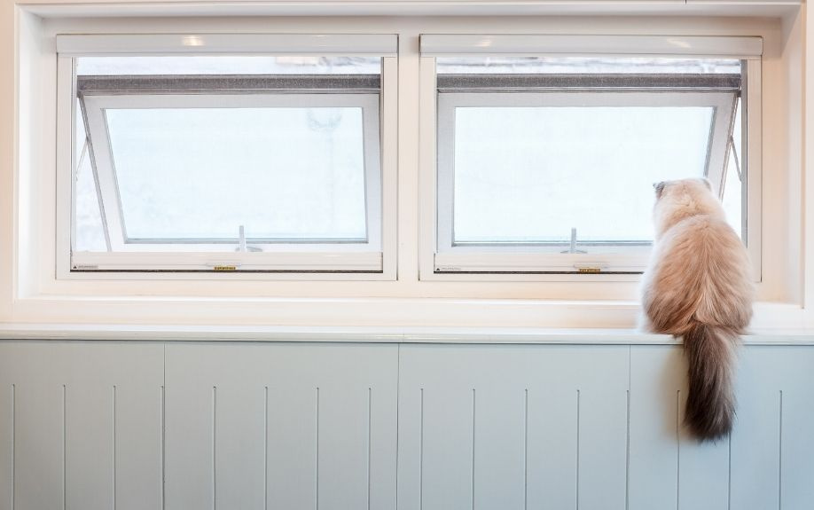 安全対策を！一戸建てでキャットウォークを設置する際の注意点