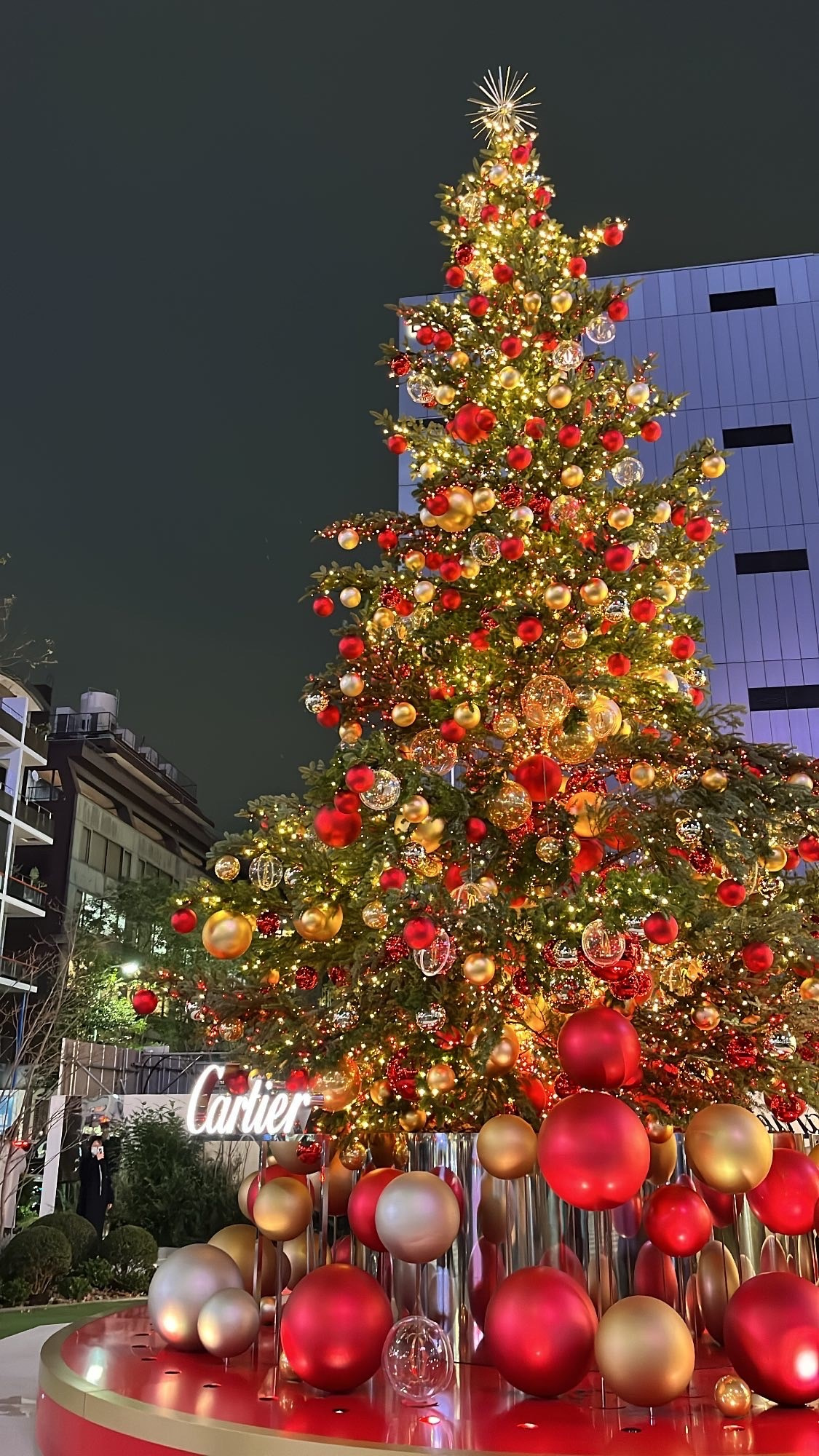 クリスマスツリーの画像
