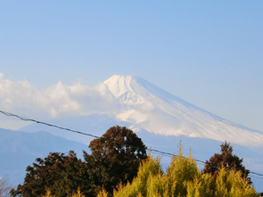 【成約情報】富士見ニュータウンの画像