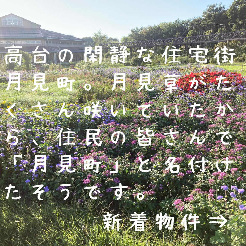新潟市不動産　月見草の街の画像