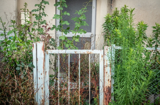 負動産とは？負動産の処分方法や相続遺棄について解説の画像