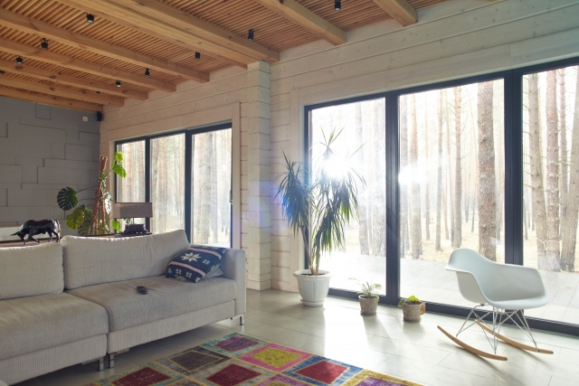 一人暮らしに観葉植物がおすすな理由とは？置き場所などをご紹介の画像