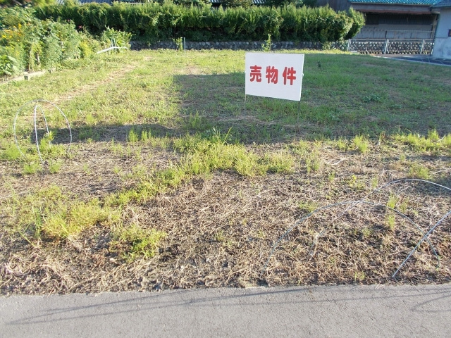 土地を売るベストタイミングを所有期間や地価動向から解説！