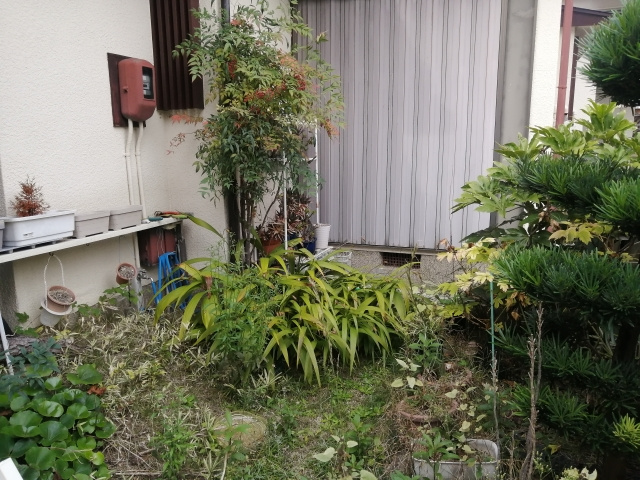 空き家の雑草対策！対策が必要な理由と対策方法を解説！の画像