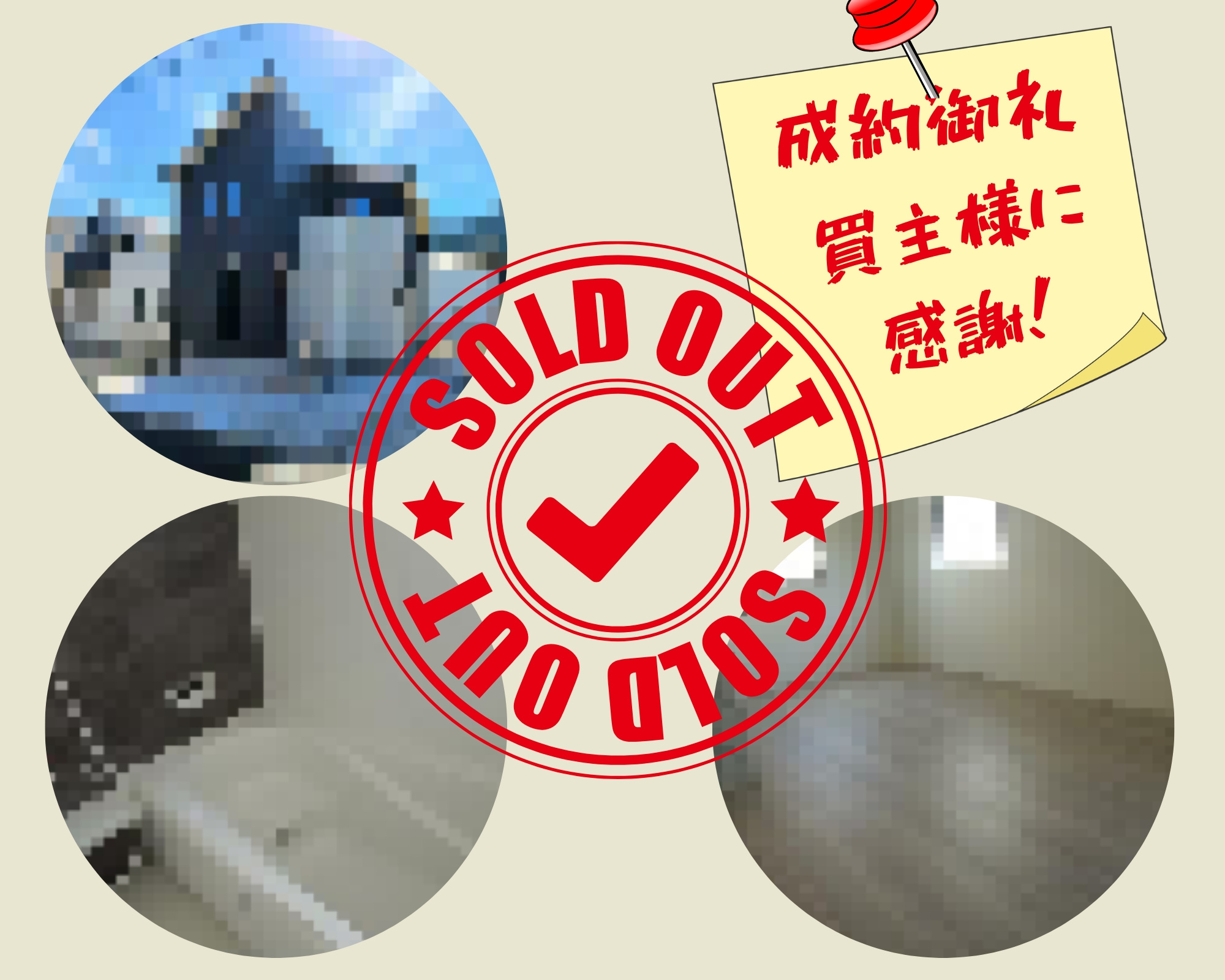 不動産売却×成約御礼【北九州市小倉北区黒原　新築戸建て】の画像