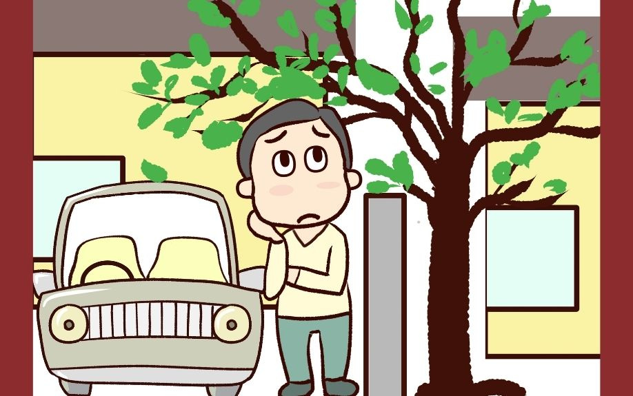 不動産における越境とはどういう状態？越境問題のある不動産売却の解説の画像