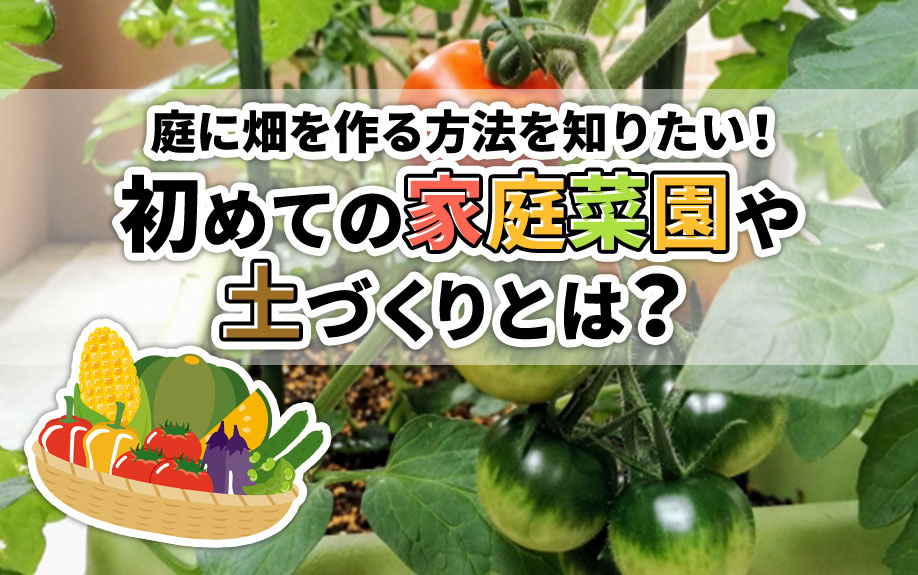庭に畑を作る方法を知りたい！初めての家庭菜園や土づくりとは？の画像
