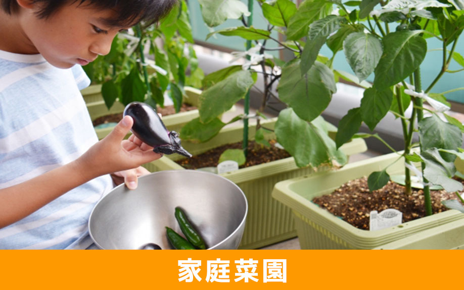 庭に畑を作る！家庭菜園は地植えがおすすめ