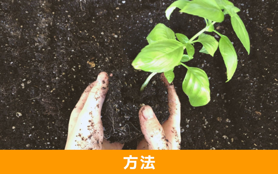 庭に家庭菜園の畑を作る方法とは？