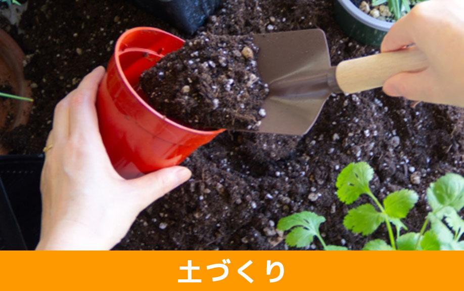 庭に畑を作るときの土づくりとは？