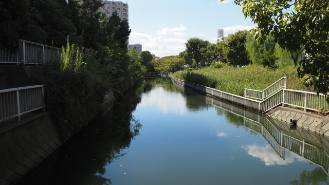 【必見】水路に面している土地は売却しづらい？売却方法や注意点をご紹介の画像