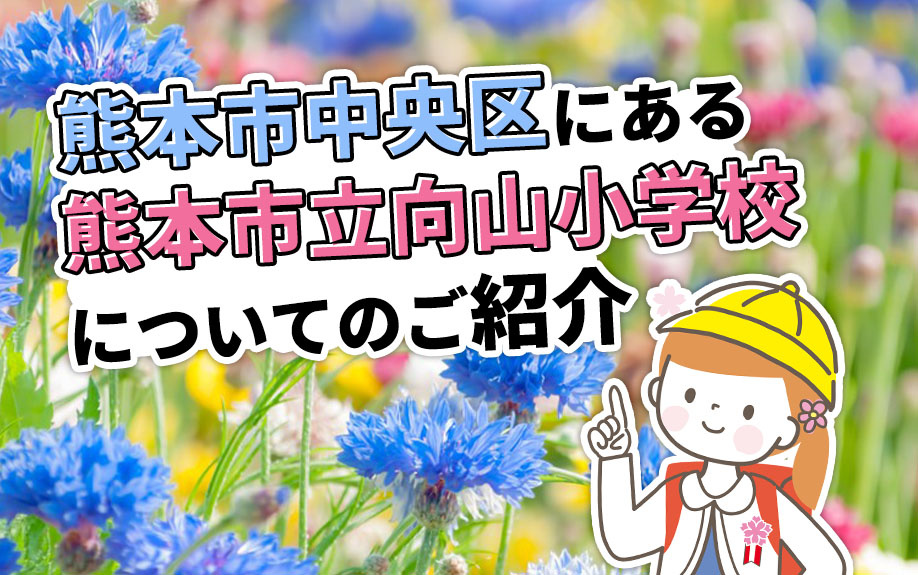 熊本市中央区にある「熊本市立向山小学校」についてのご紹介の画像