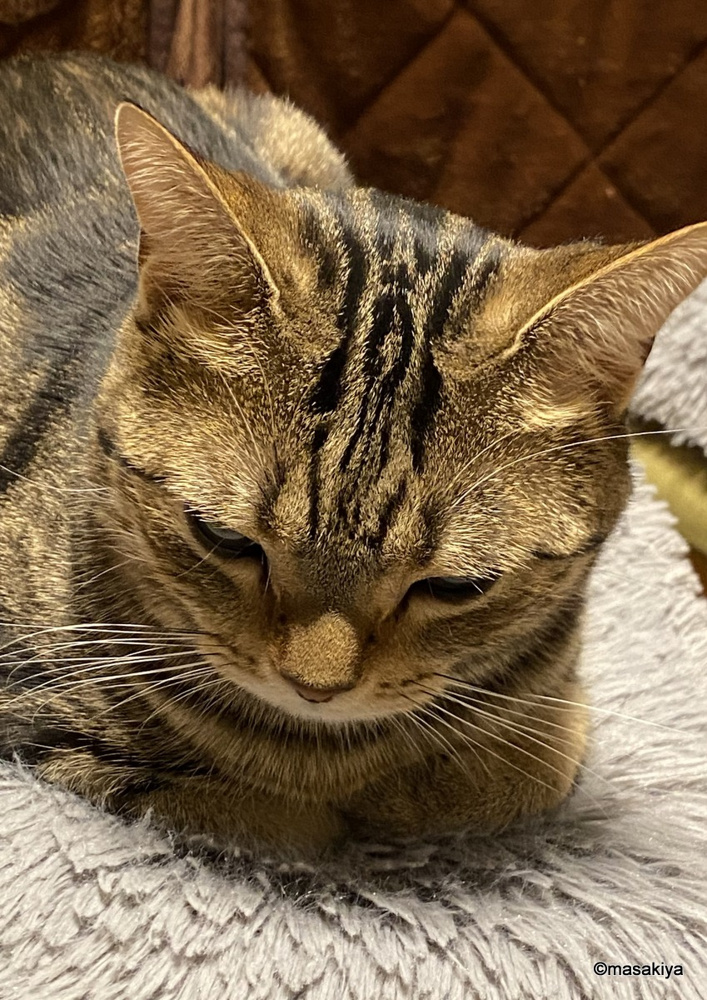 13年の画像