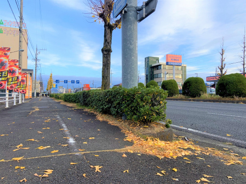 毎年恒例！自治会の環状線沿い清掃活動に参加しましたの画像