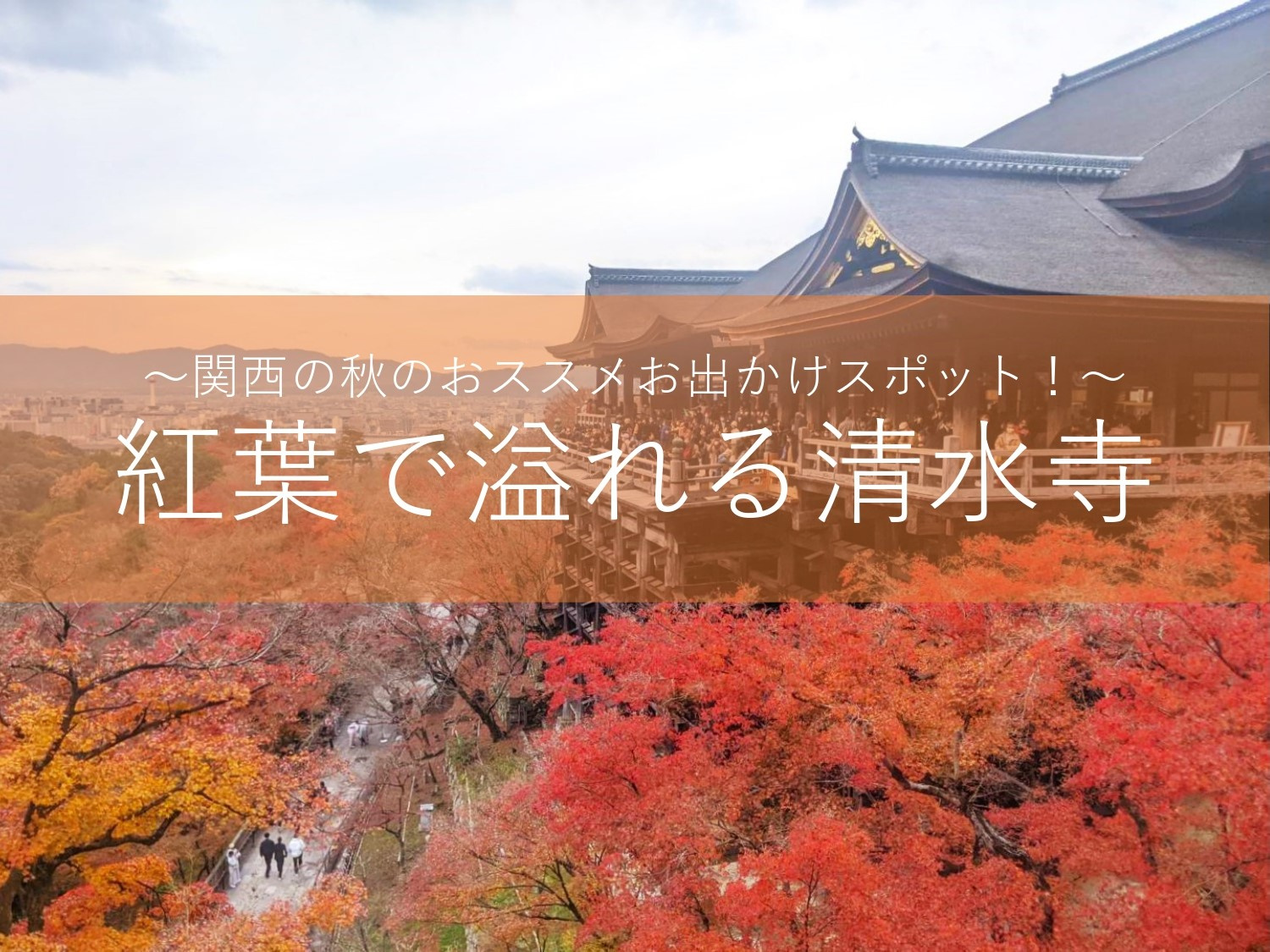 関西・秋のおススメスポット！～清水寺～の画像