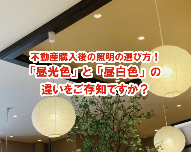 不動産購入後の照明の選び方！「昼光色」と「昼白色」の違いをご存知ですか？の画像