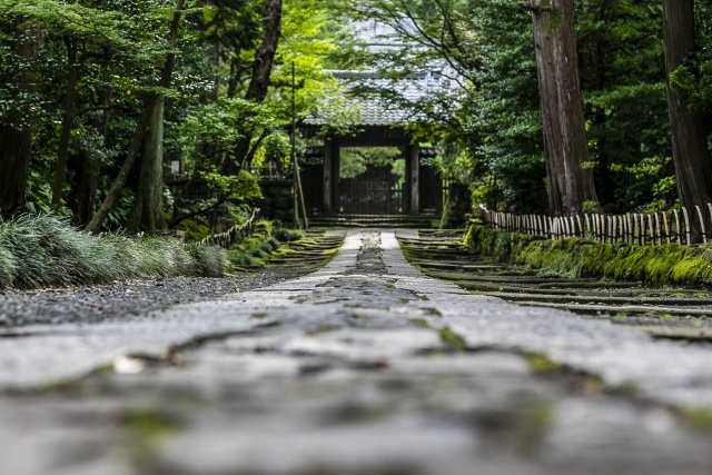 鎌倉市にある寿福寺とは？概要や見どころをご紹介