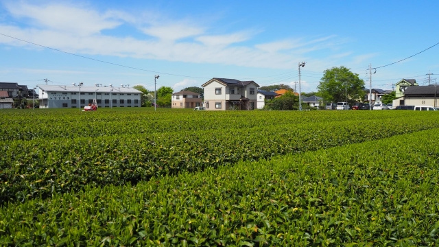 農地の納税猶予とはなにか？手続きや注意点をご紹介