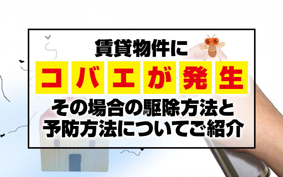 賃貸物件にコバエが発生した場合の駆除方法と予防方法についてご紹介の画像