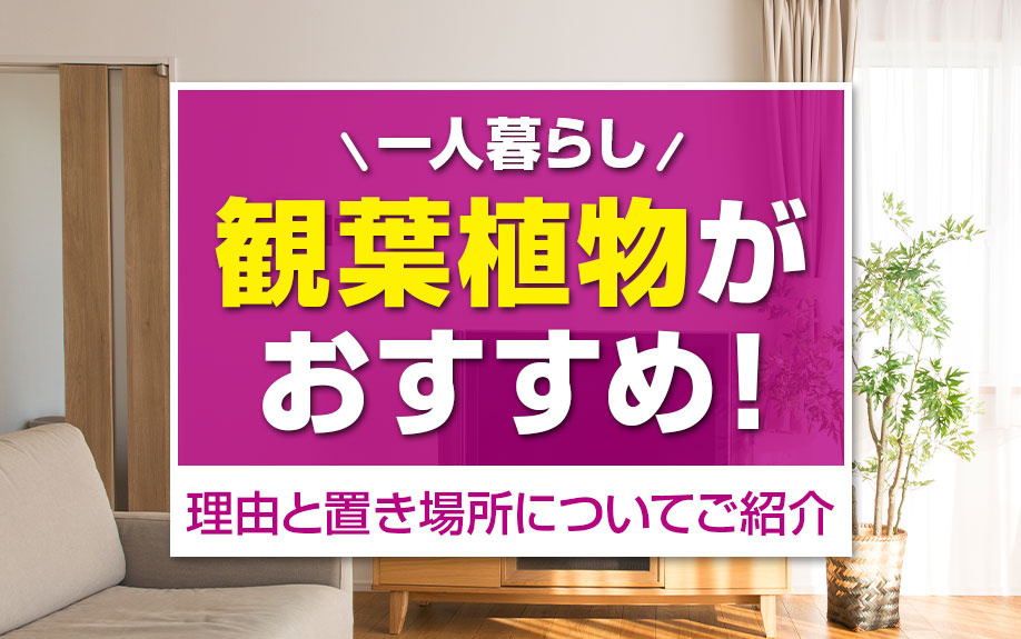 一人暮らしに観葉植物がおすすめ!その理由とおしゃれな置き場所をご紹介の画像