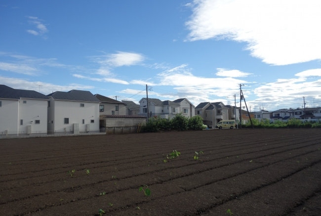 生産緑地とは？指定を解除する要件や売却する際の注意点をご紹介！の画像