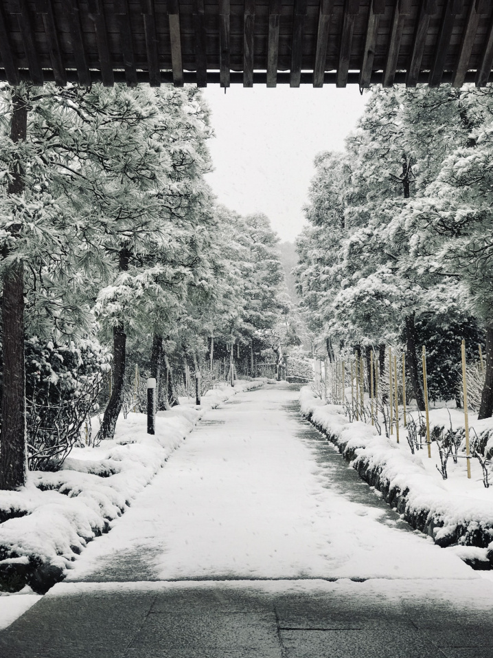 雪の建長寺の画像