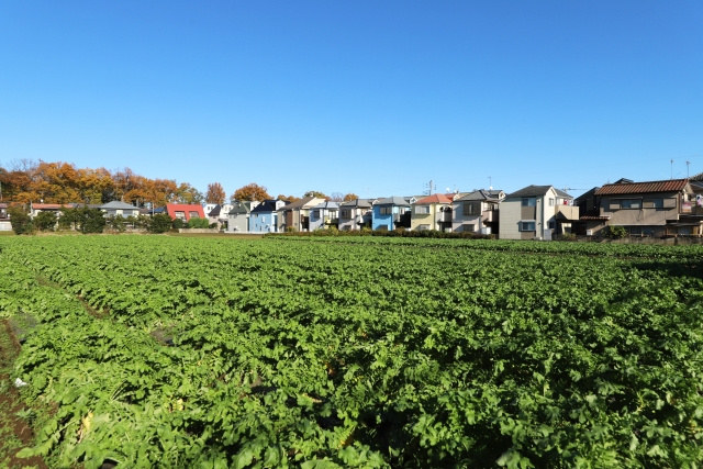 生産緑地とはどんな土地？売却方法や指定の解除方法についてご紹介！の画像