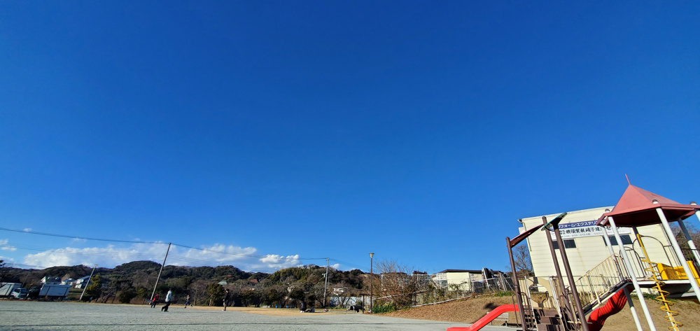 2023年　スタートです！の画像
