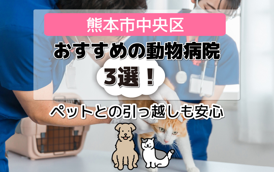熊本市中央区でおすすめの動物病院3選！ペットとの引っ越しも安心の画像