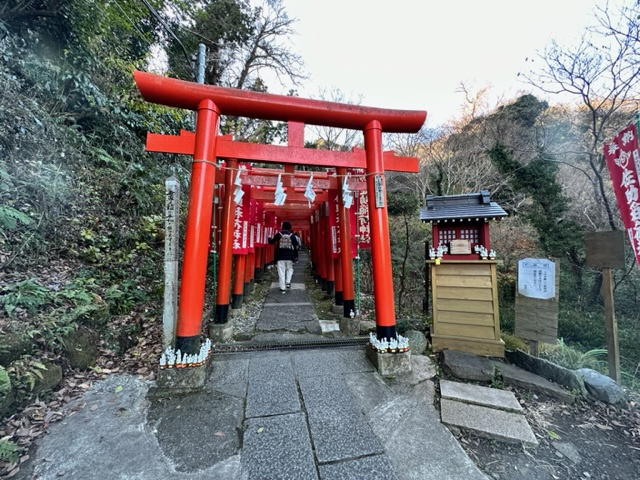 かまぼこ一枚食べない正月。の画像