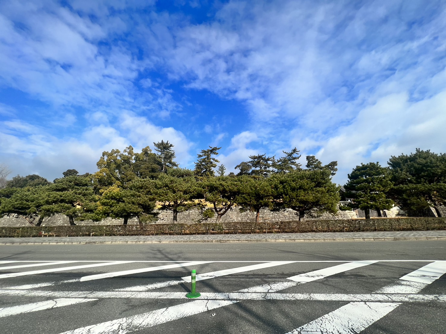 今年もよろしくお願いします！！の画像