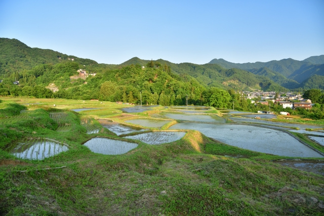 農地の納税猶予とは？手続きや注意点について解説の画像