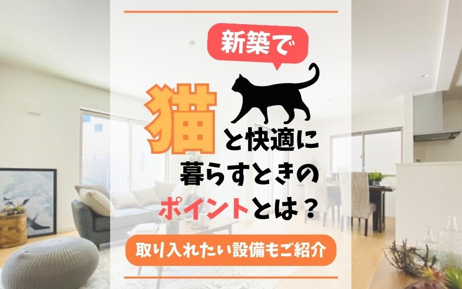 新築で猫と快適に暮らすときのポイントとは？取り入れたい設備もご紹介の画像