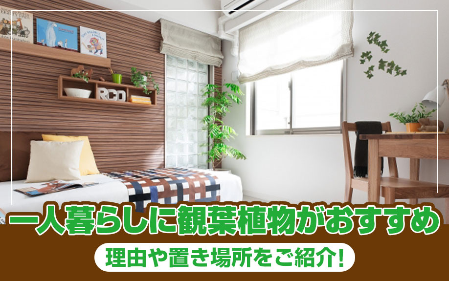 一人暮らしに観葉植物がおすすめな理由や置き場所をご紹介！の画像