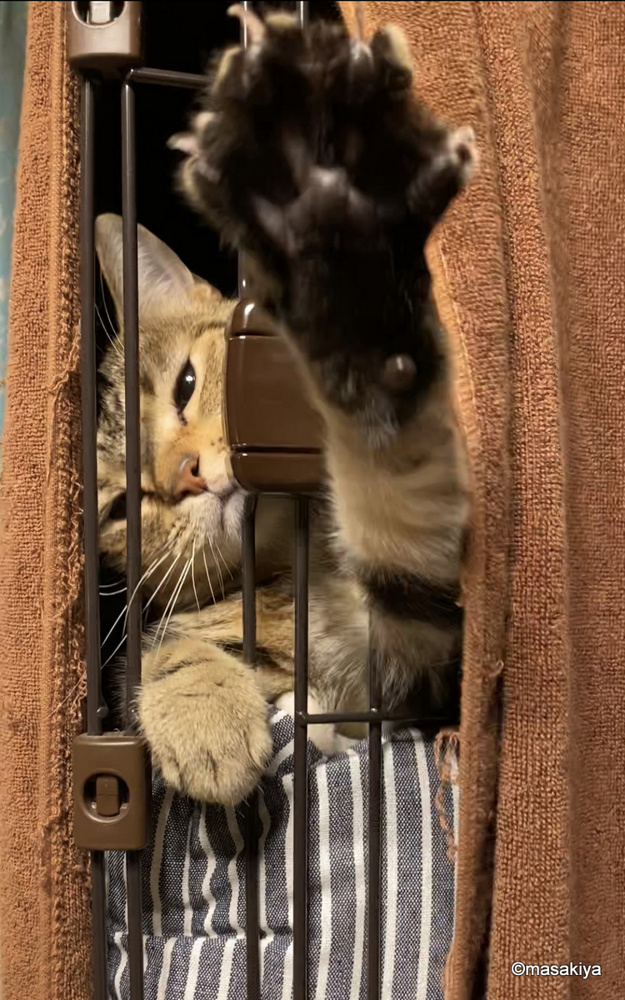 給湯器の在庫の画像