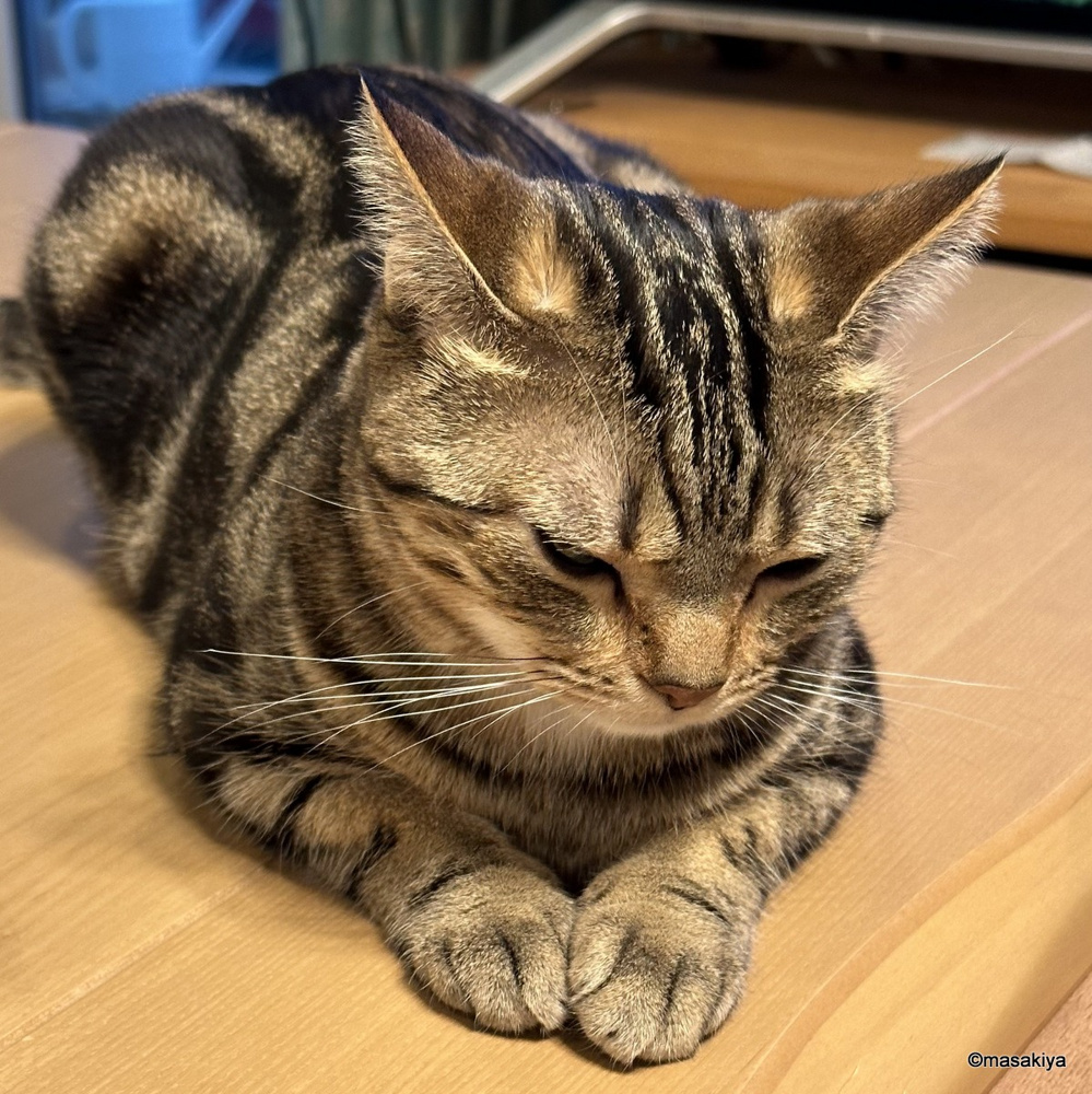 久々の出勤の画像