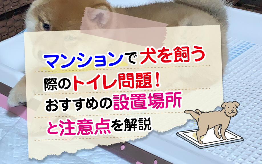 マンションで犬を飼う際のトイレ問題！おすすめの設置場所と注意点を解説