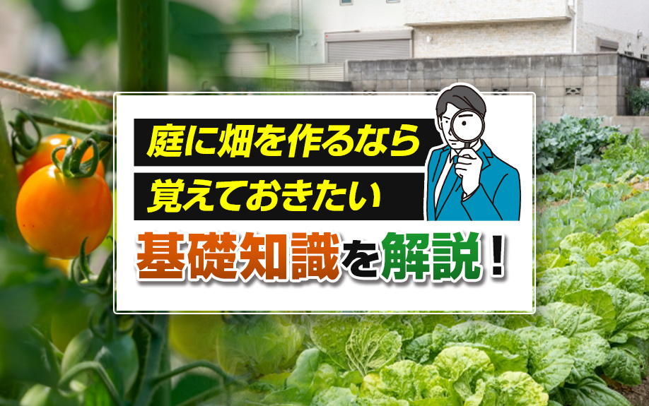 庭に畑を作るなら覚えておきたい基礎知識を解説！の画像