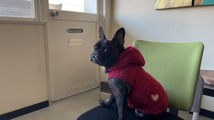 看板娘　ベニの画像