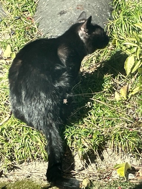 【愛西市不動産売却】査定訪問の画像