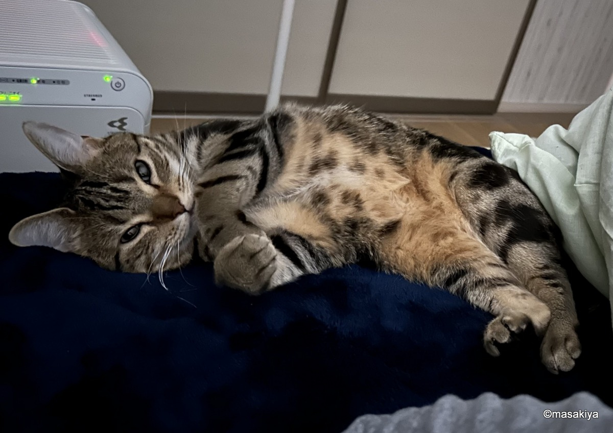 極寒予報の画像