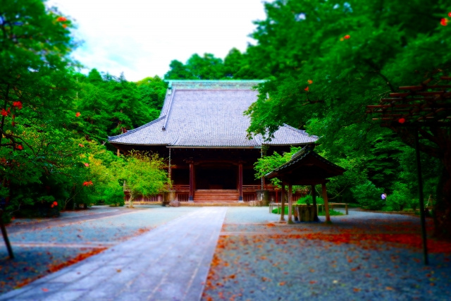 神奈川県鎌倉市にある妙本寺の概要と見どころをご紹介！