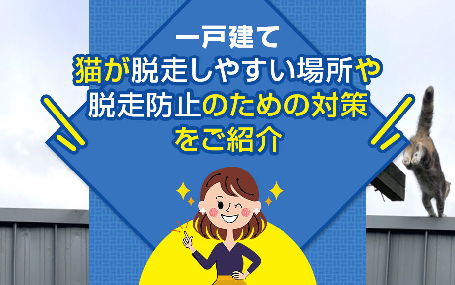 一戸建てで猫が脱走しやすい場所や脱走防止のための対策をご紹介