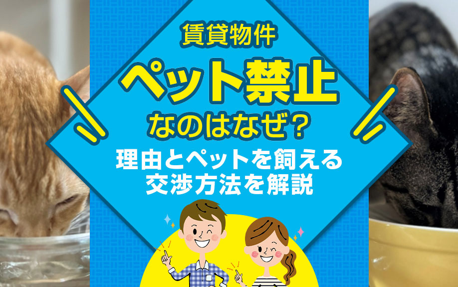 賃貸物件でペット禁止なのはなぜ？理由とペットを飼える交渉方法を解説の画像
